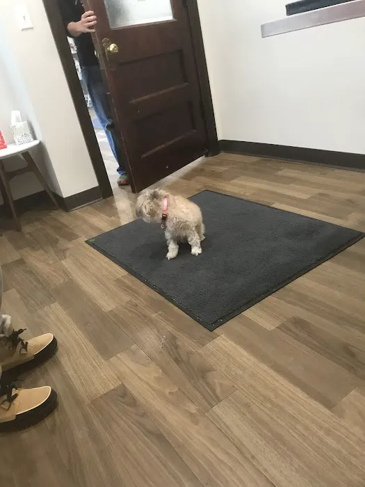 Uptown Veterinarian Picture 5