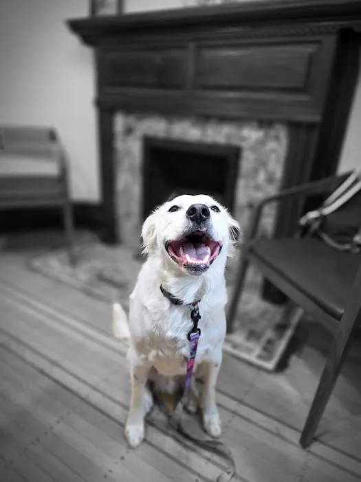 Uptown Veterinarian Picture 10