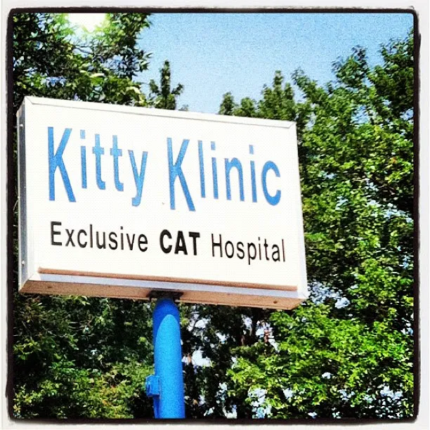 Kitty Klinic Picture 4