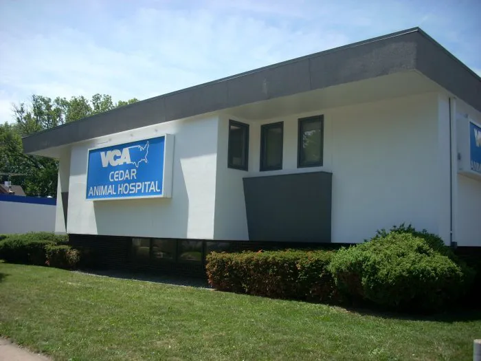 VCA Cedar Animal Hospital Picture 2