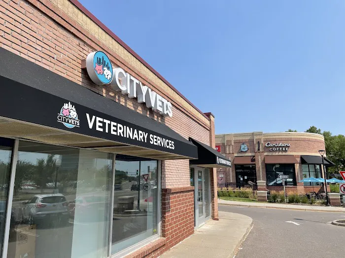 Cityscape Vets On Excelsior Picture 2