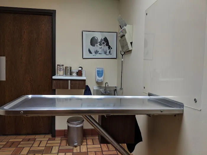 East Lake Animal Clinic Picture 3