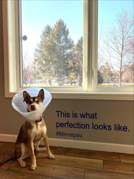 Minnepau Veterinary Clinic Picture 4