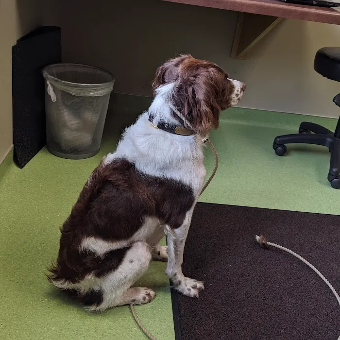 Lake Harriet Veterinary Picture 2