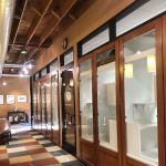 City Cat Clinic & Condos