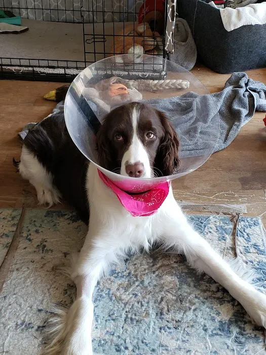 Moreland Veterinary Hospital Picture 1