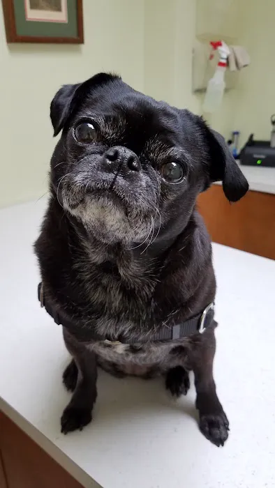 Moreland Veterinary Hospital Picture 6