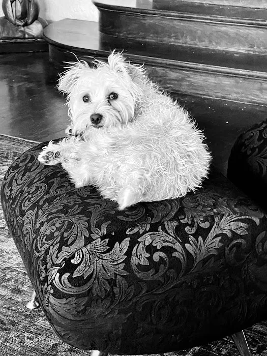 Moreland Veterinary Hospital Picture 10