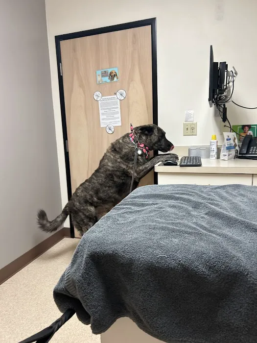 Powell Veterinary Center Picture 1