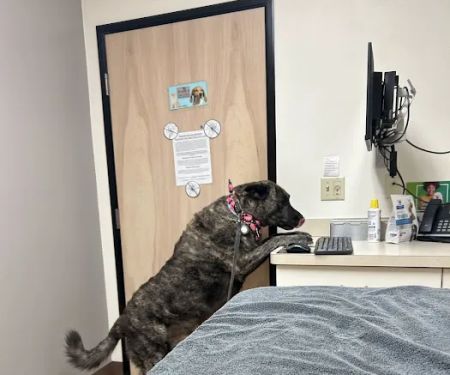 Powell Veterinary Center