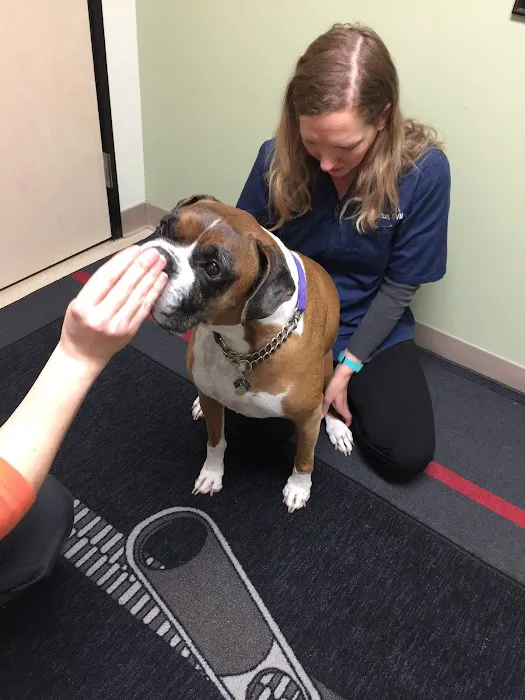 Powell Veterinary Center Picture 8