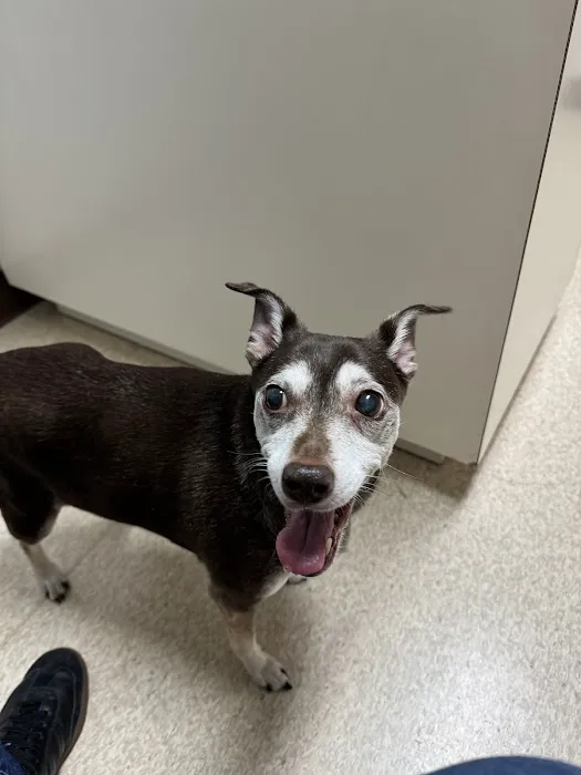 Powell Veterinary Center Picture 5