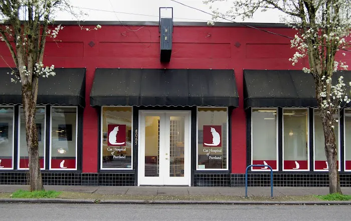 Cat & Dog Hospital of Portland Picture 3