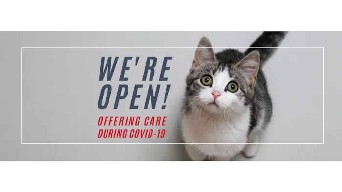 Cat & Dog Hospital of Portland Picture 1