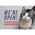 Cat & Dog Hospital of Portland