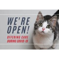 Cat & Dog Hospital of Portland ico