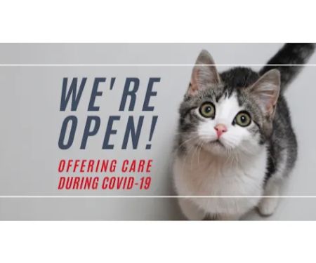 Cat & Dog Hospital of Portland