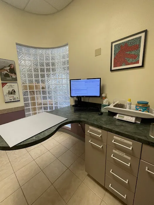 Cat & Dog Hospital of Portland Picture 4