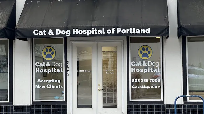 Cat & Dog Hospital of Portland Picture 7