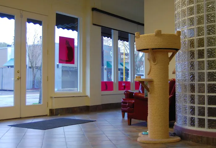 Cat & Dog Hospital of Portland Picture 9