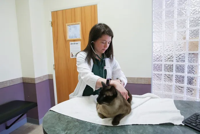 Cat & Dog Hospital of Portland Picture 10