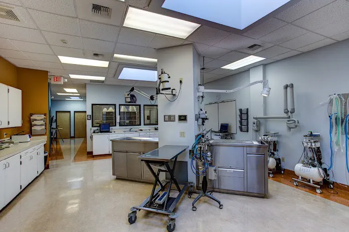 Northwest Neighborhood Veterinary Hospital Picture 3