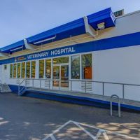 Northwest Neighborhood Veterinary Hospital ico