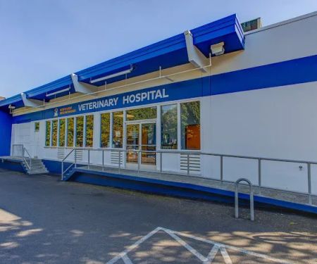 Northwest Neighborhood Veterinary Hospital