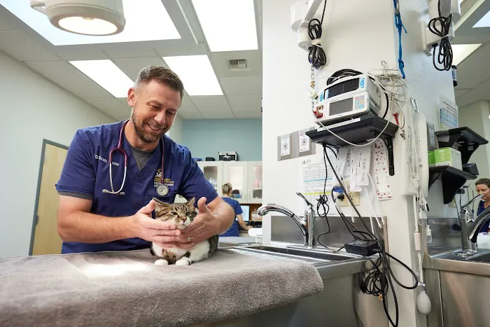 Northwest Neighborhood Veterinary Hospital Picture 8
