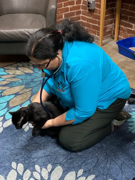 Synergy Veterinary Behavior Picture 3