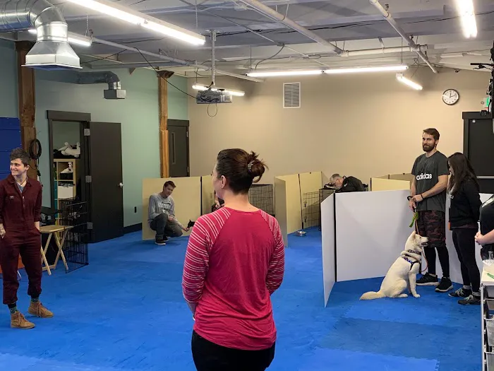 Synergy Veterinary Behavior Picture 2