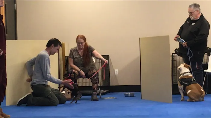 Synergy Veterinary Behavior Picture 6