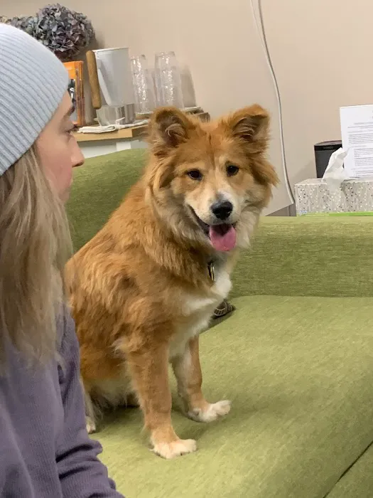 Synergy Veterinary Behavior Picture 4