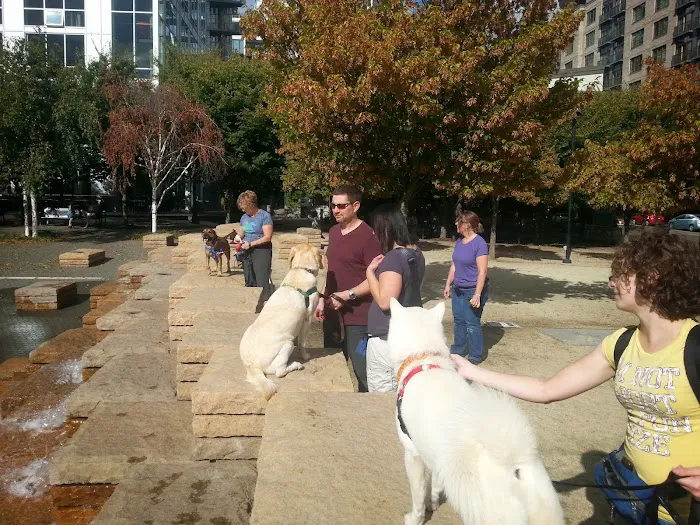 Synergy Veterinary Behavior Picture 7