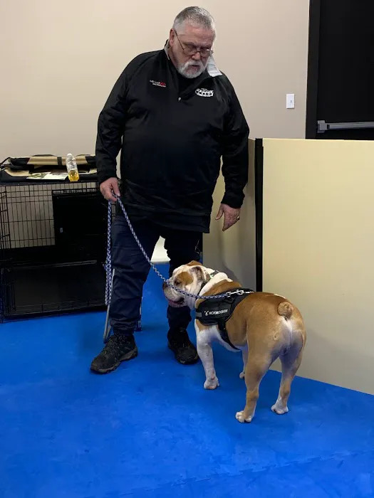 Synergy Veterinary Behavior Picture 5