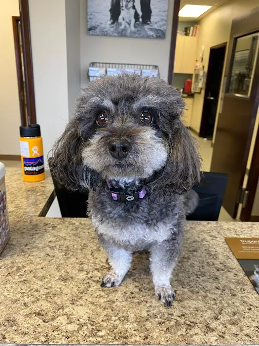 Burlingame Veterinary Clinic Picture 2