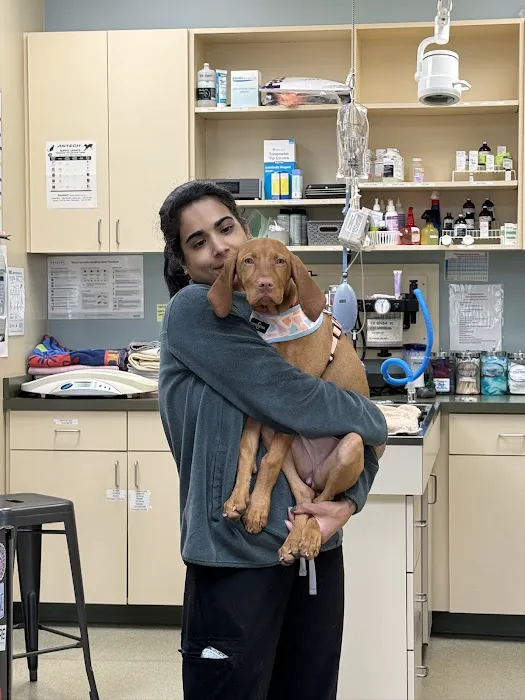 Burlingame Veterinary Clinic Picture 10