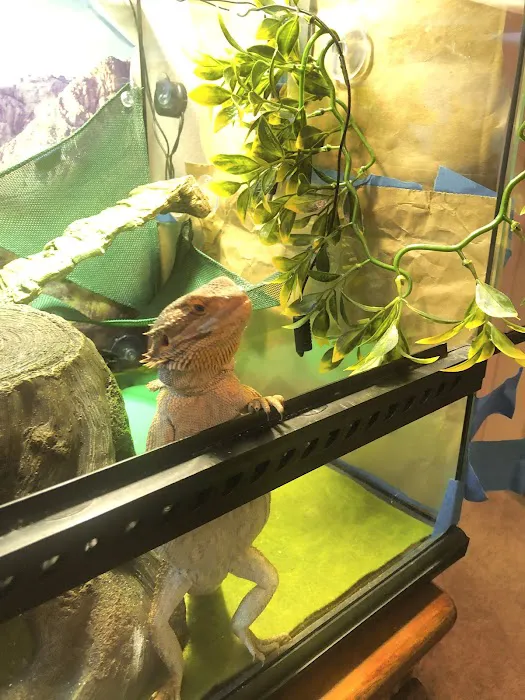 Scales & Tails Exotic Pet Clinic Picture 3