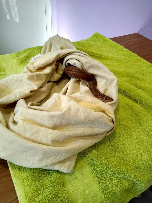 Scales & Tails Exotic Pet Clinic Picture 10