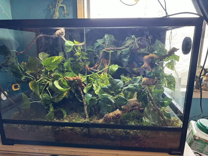 Scales & Tails Exotic Pet Clinic Picture 9
