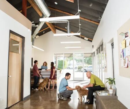 OREV, Specialty Vet Care