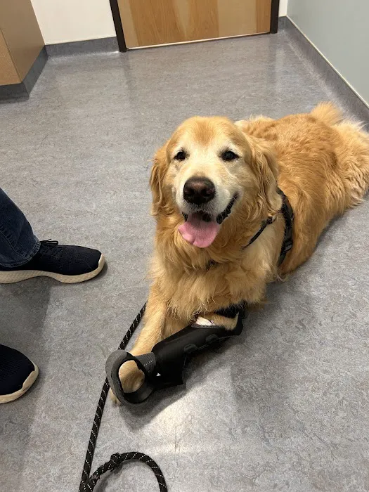 OREV, Specialty Vet Care Picture 5
