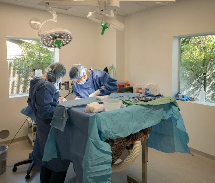 OREV, Specialty Vet Care Picture 10