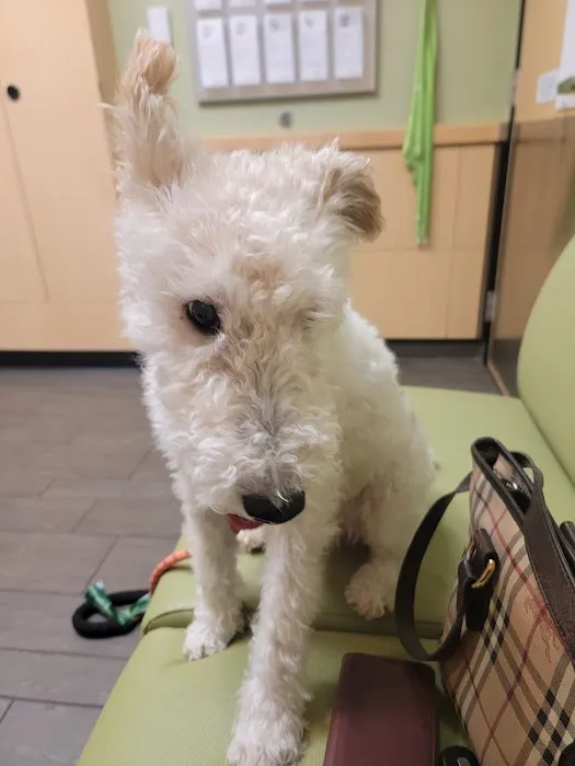Banfield Pet Hospital Picture 4