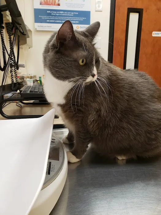 Banfield Pet Hospital Picture 10