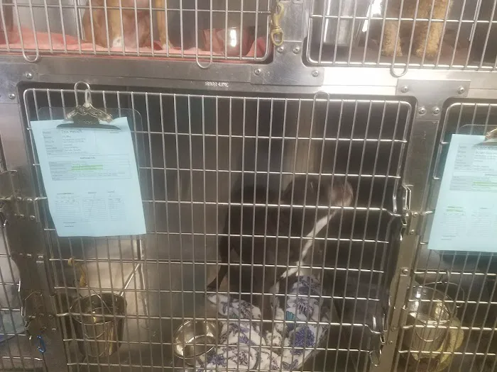 VCA Laurelhurst Animal Hospital Picture 6