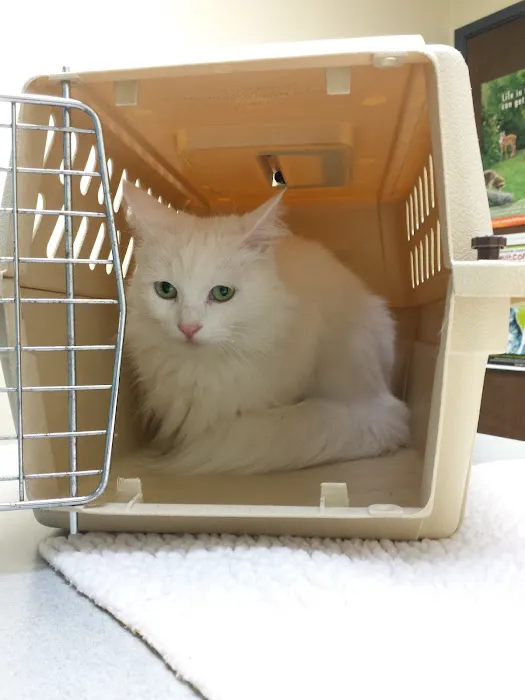 VCA Laurelhurst Animal Hospital Picture 8