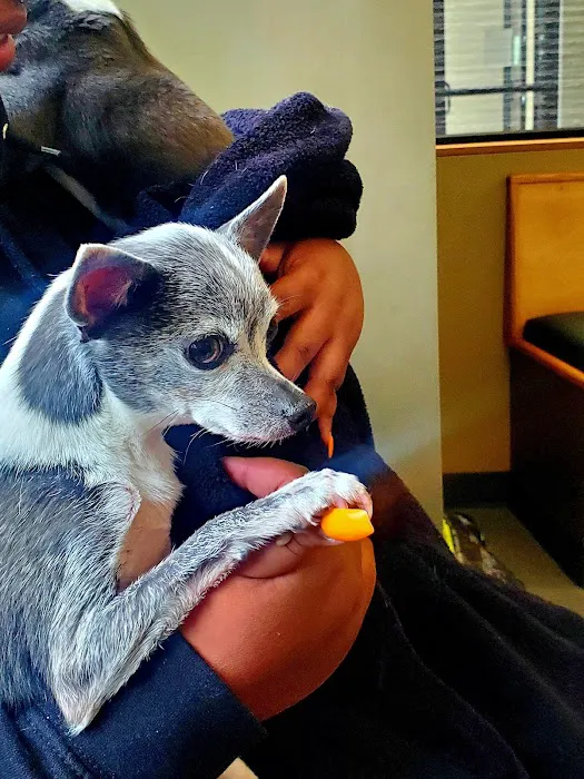 Broadway Veterinary Clinic Picture 1