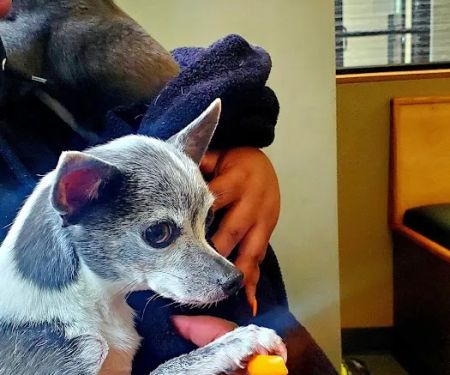 Broadway Veterinary Clinic