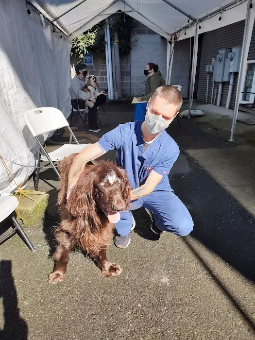 Broadway Veterinary Clinic Picture 6